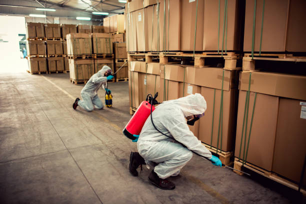 Best Rat Extermination Near Me  in Venersborg, WA