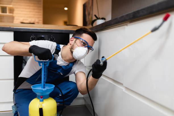 Best Residential Pest Control  in Venersborg, WA
