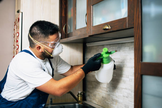 Pest Control for Restaurants in Venersborg, WA