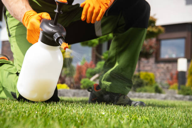 Trusted Venersborg, WA Pest Control Experts