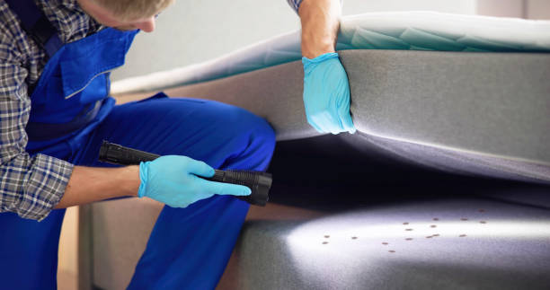 Best Wasp Removal Services  in Venersborg, WA